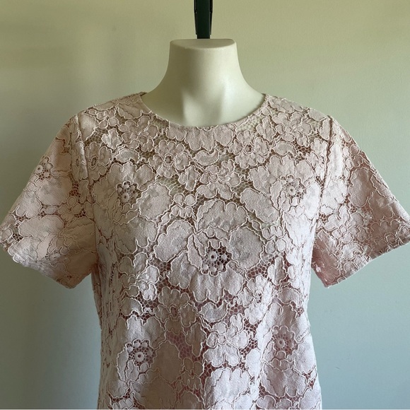 BCBGMaxAzria Diane Lace Mini Dress Pastel Pink Oversized With Slip Size Medium - Picture 7 of 16